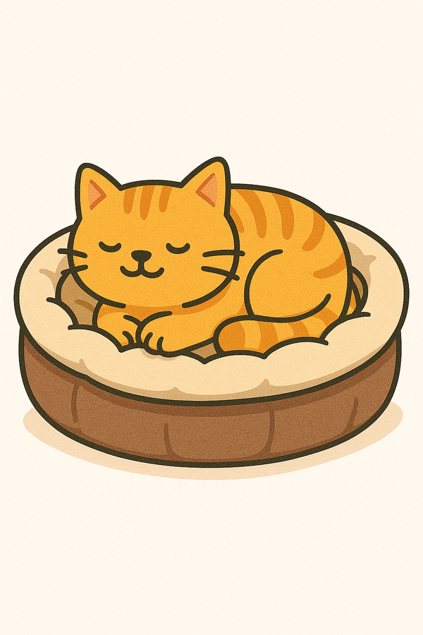BEDS