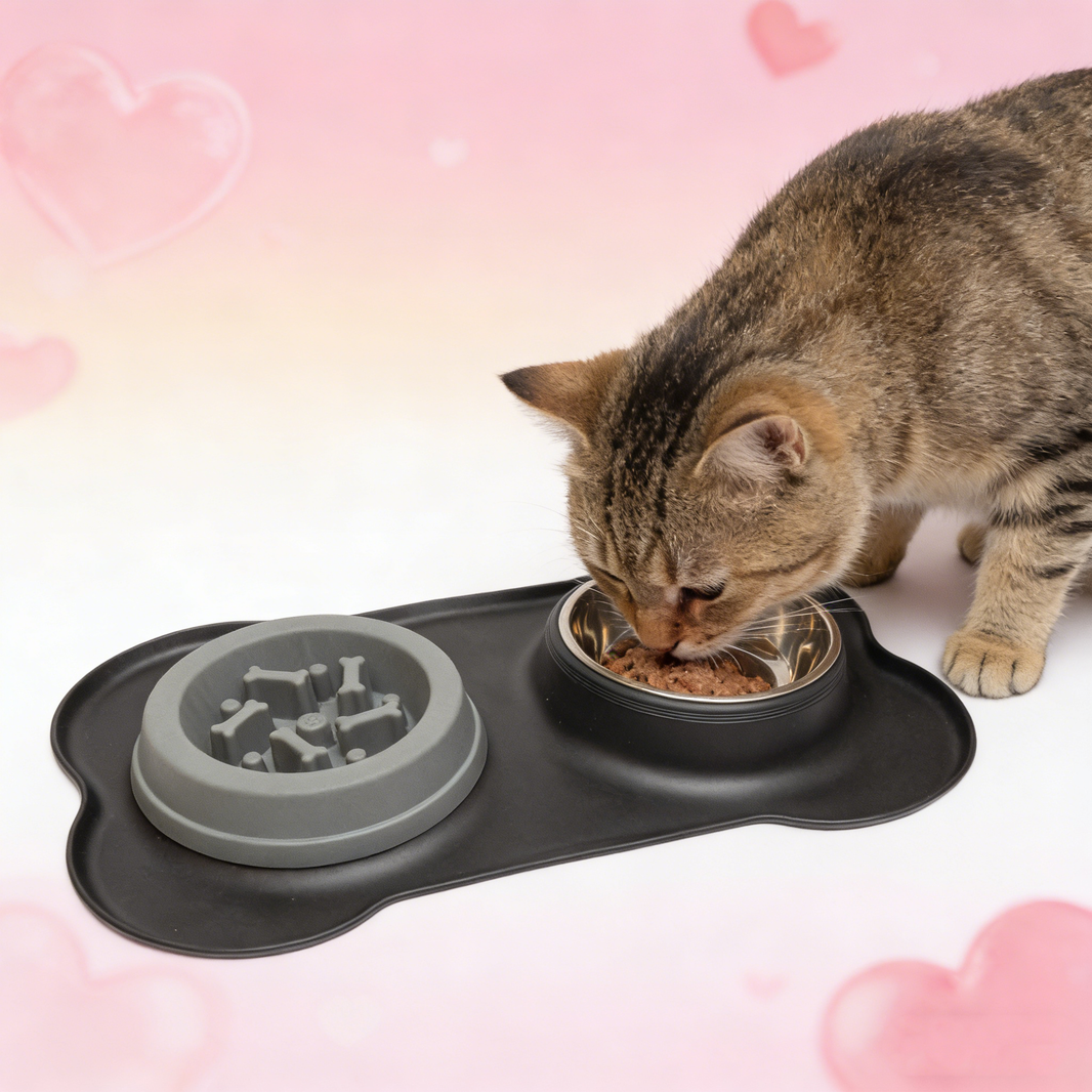 Pawfect Essentials™ BoneBuddy Dual Dish Tray – All-in-One Mealtime Station for Pets (Blue)